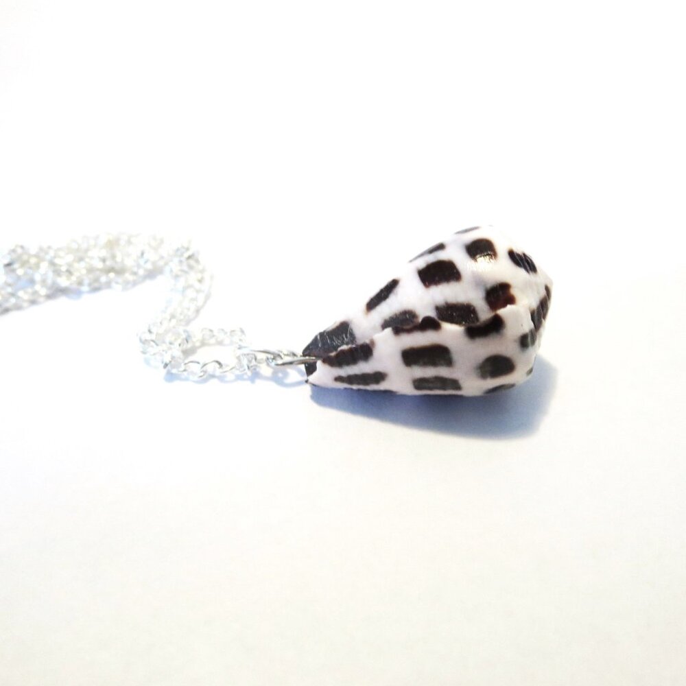 White Black Hawaii Cone Shell earrings real Hebrew Shell Necklace